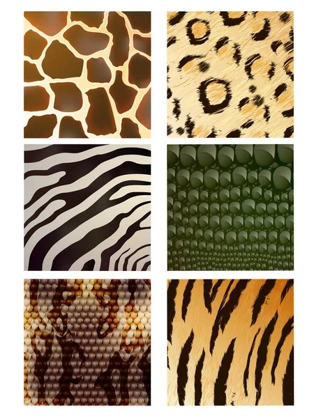 Vector Set of Different Animal Skins — Stock Vector