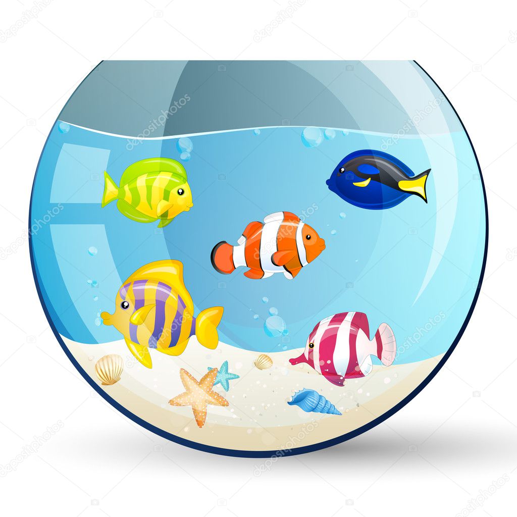 Vector Aquarium with Colorful Fishes