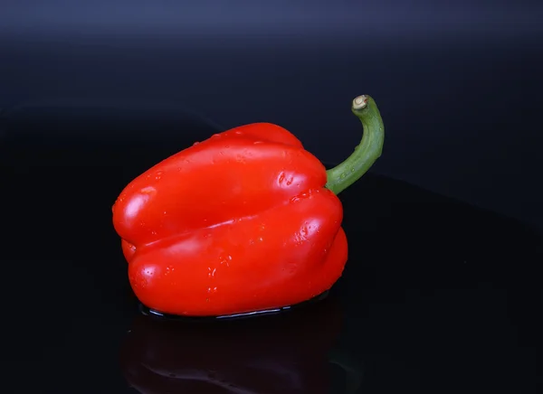 Red pepper with the reflection in the water, on a black background — Stock Photo, Image