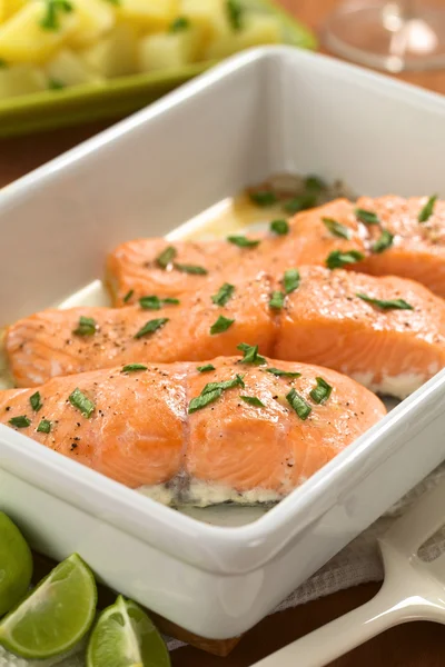 Baked Salmon in Casserole — Stock Photo, Image