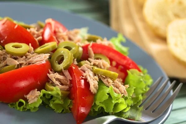 Sałatka z pomidorów i oliwek tuńczyka — Zdjęcie stockowe