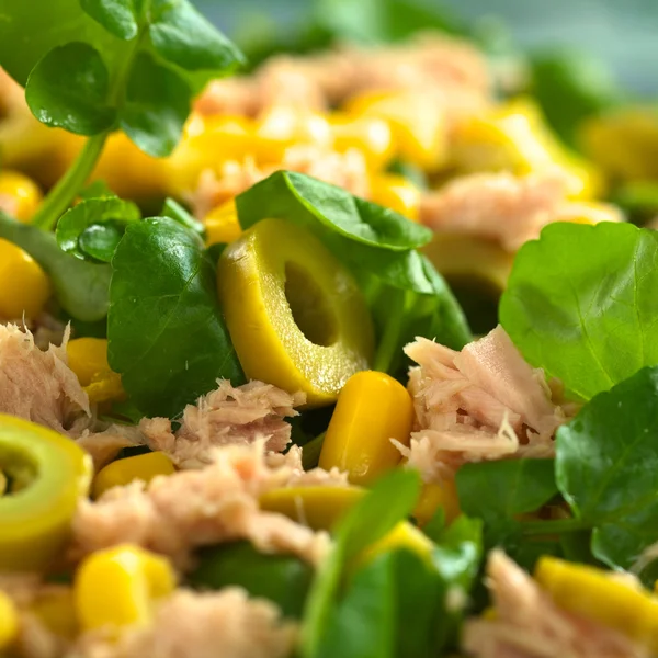 Tun Sweetcorn og Olive Salat - Stock-foto