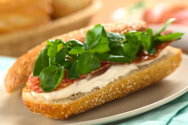 Salam, krem peynir ve su teresi sandviç — Stok fotoğraf