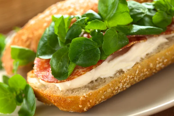 Salam, krem peynir ve su teresi sandviç — Stok fotoğraf
