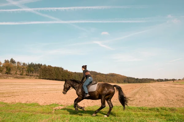 stock image Equestrienne rides.