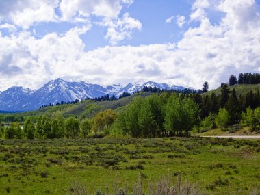 Teton Dağları kar maskeli