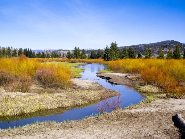 Riverbanks in Summer color — Stock Photo, Image