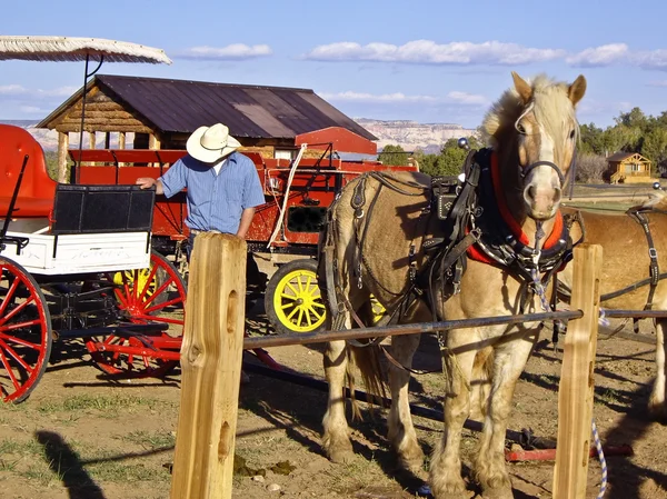 stock image Horse and Carriage