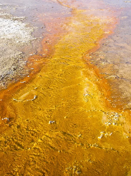 Golden Geothermal Pool Parque Yellowstone — Fotografia de Stock