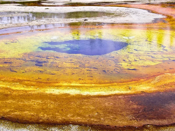 藻类在黄石公园热池导致鲜亮的颜色 — 图库照片