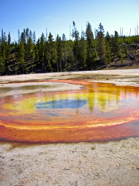 Oranžová a žlutá termální bazén Yellowstone — Stock fotografie
