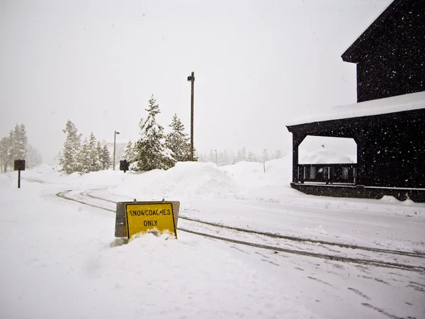 Snowcoaches endast logga in snöstorm yellowstone — Stockfoto