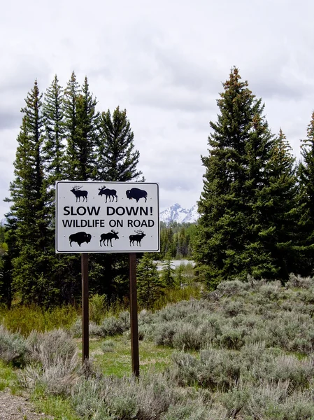 Traffic sign warning of wildlife — Stock Photo, Image