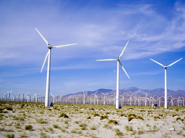 stock image Wind Powered Turbines