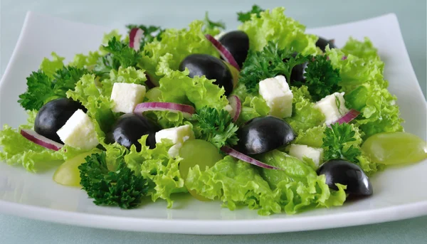 Sallad sallad med ost och vindruvor — Stockfoto