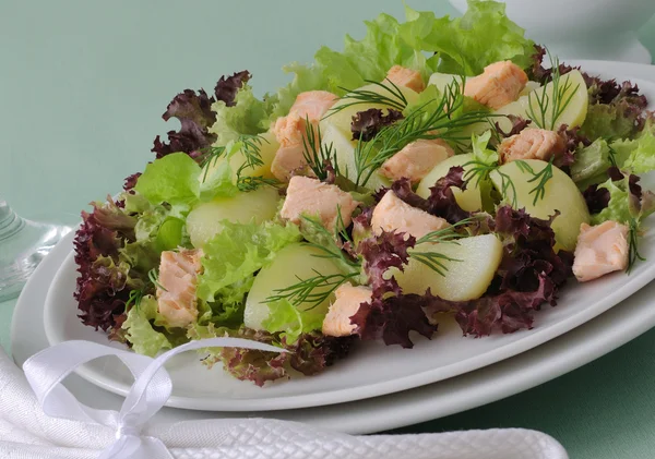 Burgonya saláta lazaccal — Stock Fotó
