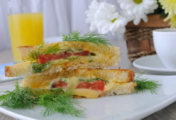 夹西红柿和奶酪的三明治 — 图库照片