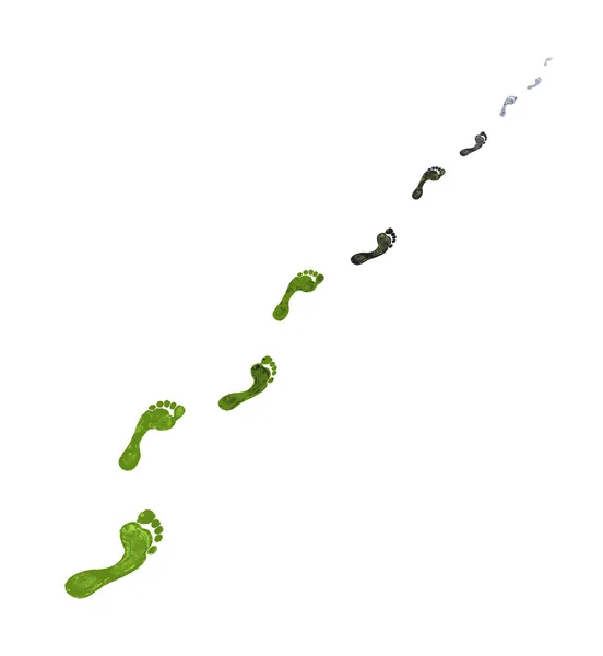Gris verde pies de carbono pasos — Vector de stock