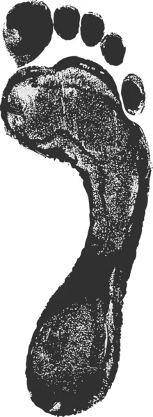 Grey carbon foot print — Stock Vector