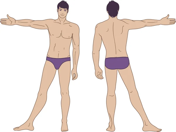 Full length (front & back) views of a standing naked man — Stock Vector