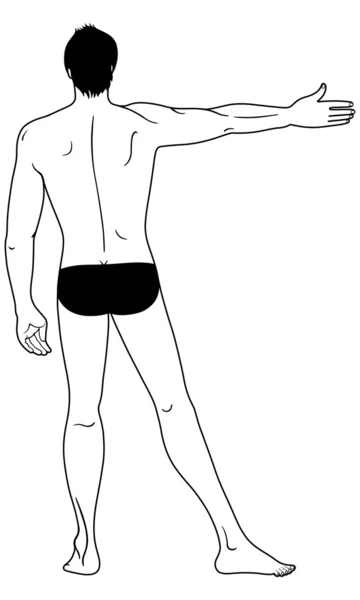 Visualizzazione posteriore a tutta lunghezza di un uomo nudo in piedi — Vettoriale Stock