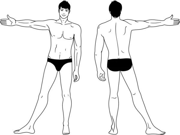 Full length (front & back) views of a standing naked man — Stock Vector