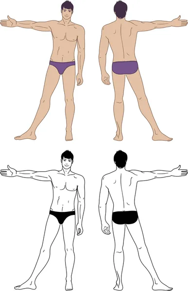Comprimento total (frente e verso) visualizações de um homem nu de pé — Vetor de Stock