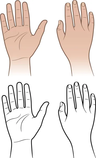 Kvinna, mannen händerna isolerad på vit — Stock vektor