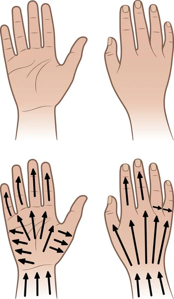 Mujer, manos de hombre con líneas de masaje — Vector de stock