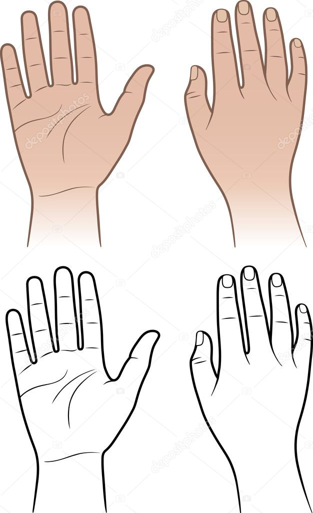 Woman, man hands isolated on white