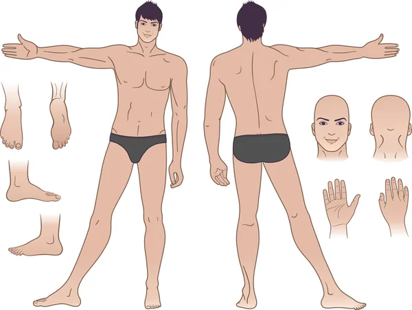Full längd (främre & tillbaka) över en stående naken man — Stock vektor