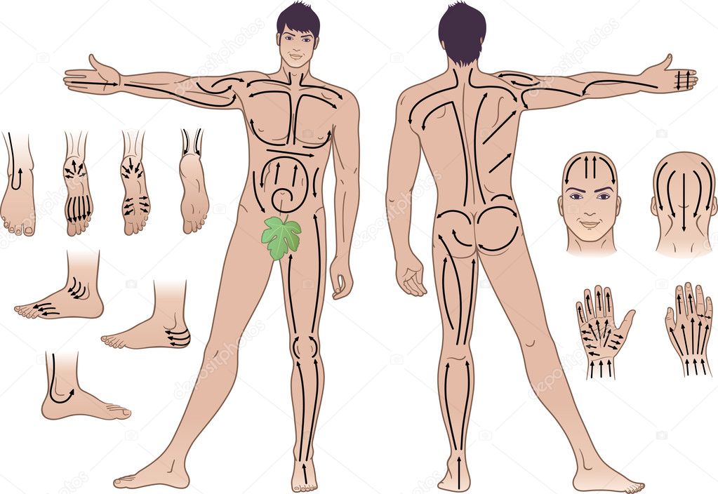 Full length (front & back) views of a standing naked man with massaging lines