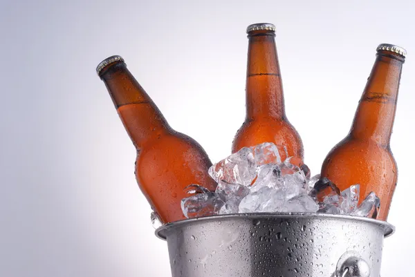 Butelki po piwie — Zdjęcie stockowe