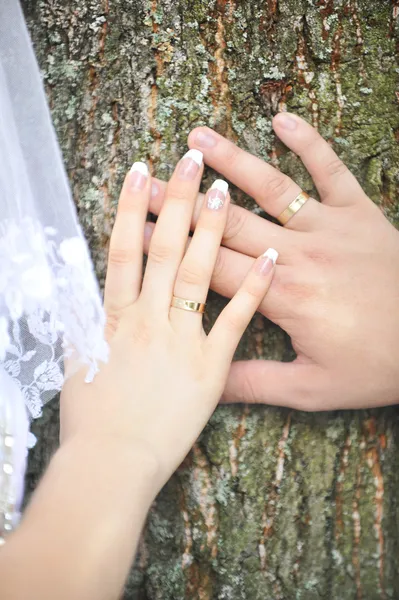 Наречена і руки нареченого — стокове фото