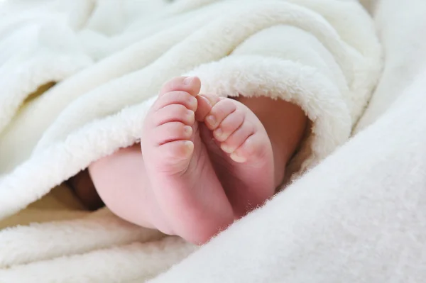 Baby feet — Stock Photo, Image