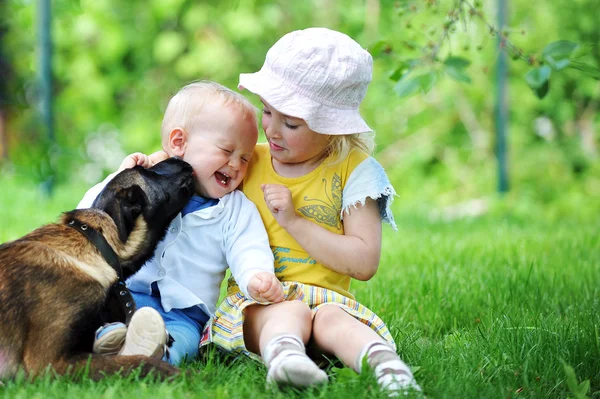 Дети и собака — стоковое фото
