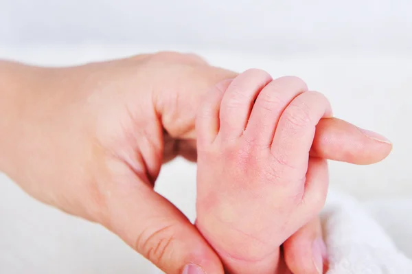 Mãos adulto e bebê — Fotografia de Stock
