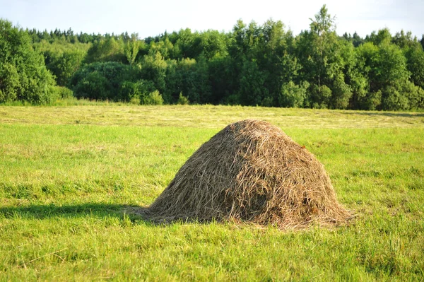 Haystack en el prado — Foto de Stock