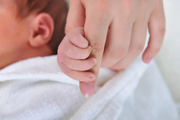 Handen volwassene en baby — Stockfoto