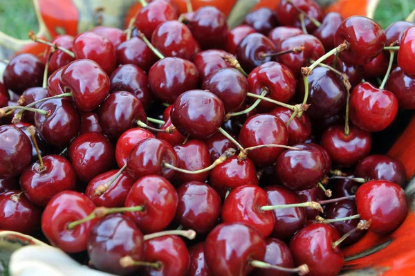 Freshly cherries — Stock Photo, Image