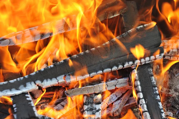 Zapálili oheň — Stock fotografie