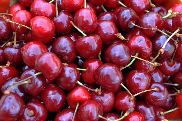 Freshly cherries Stock Picture
