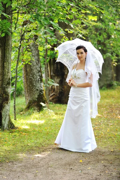 Bride with umbrella — Stock Photo, Image