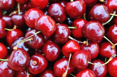 Freshly cherries clipart