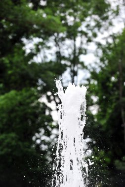 Fountain in park clipart