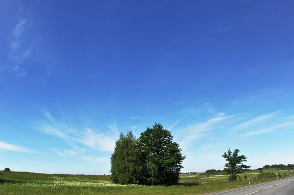 Mavi gökyüzünün altında yolu — Stok fotoğraf