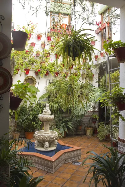 Andalusische patio — Stockfoto