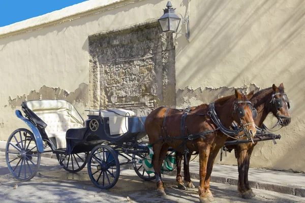 Horse carriage — Stock Photo, Image
