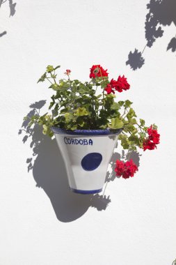Andalusian geranium clipart