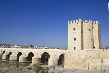 Tower of Calahorra and Roman bridge. Cordoba. clipart